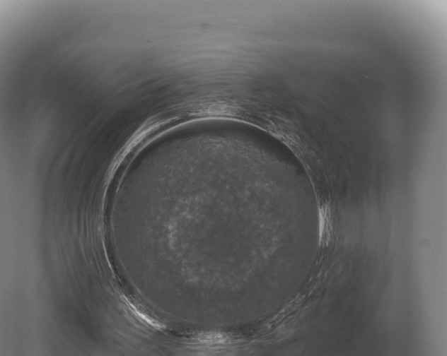 X0000080150195200612151839