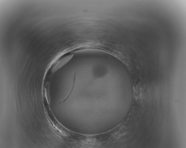 X0000080150196200612151839