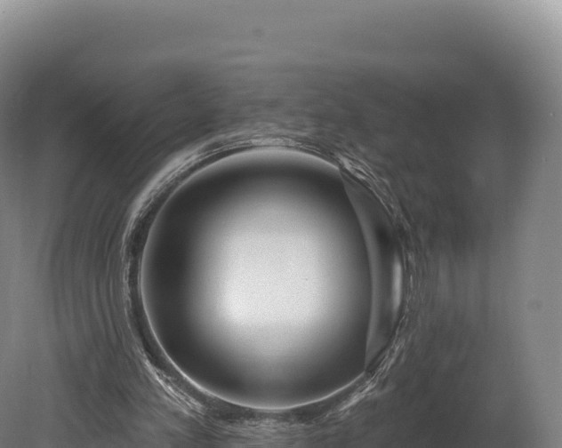 X0000080150197200612151839