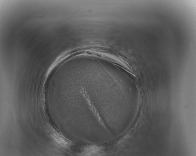 X0000080150198200612151839