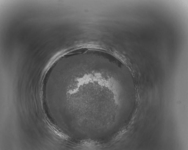 X0000080150199200612151839