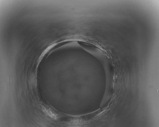 X0000080150200200612151839