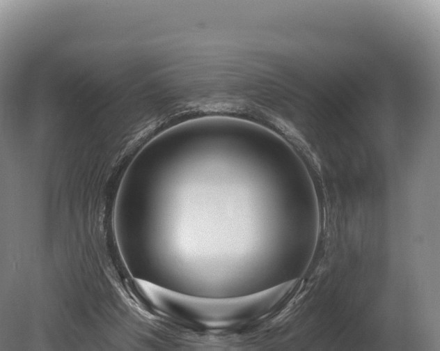 X0000080150201200612151839