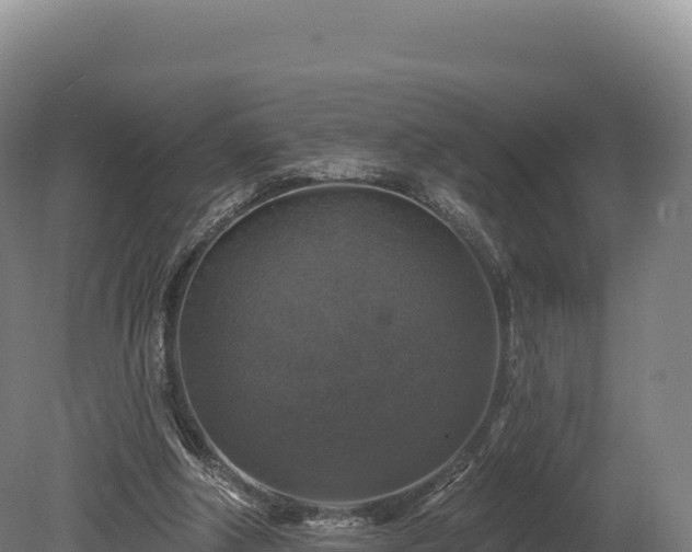 X0000080150202200612151839