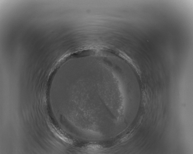 X0000080150203200612151839