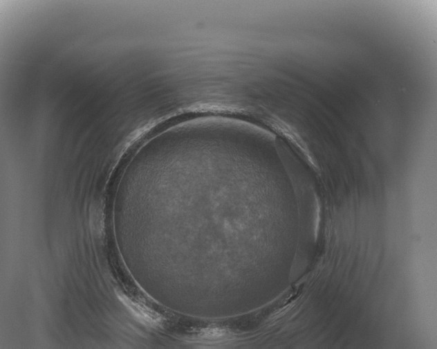 X0000080150204200612151839