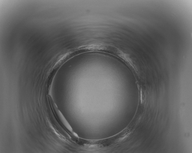 X0000080150205200612151839