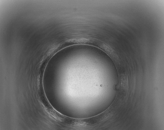 X0000080150206200612151839