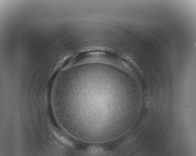 X0000080150207200612151839