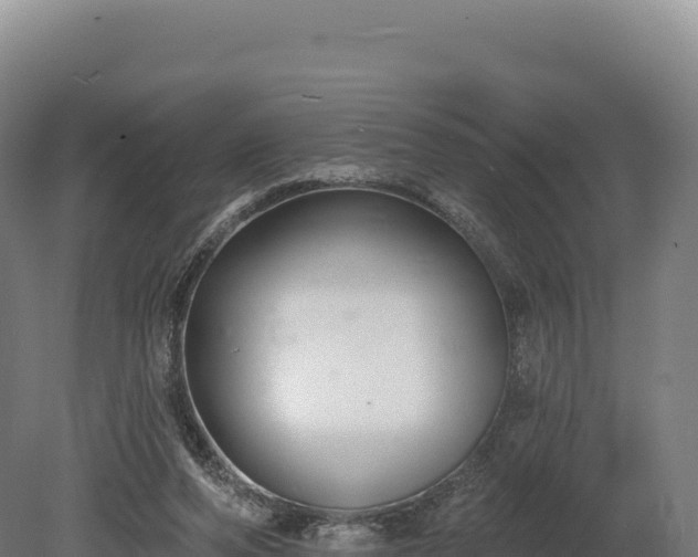 X0000080150208200612151839