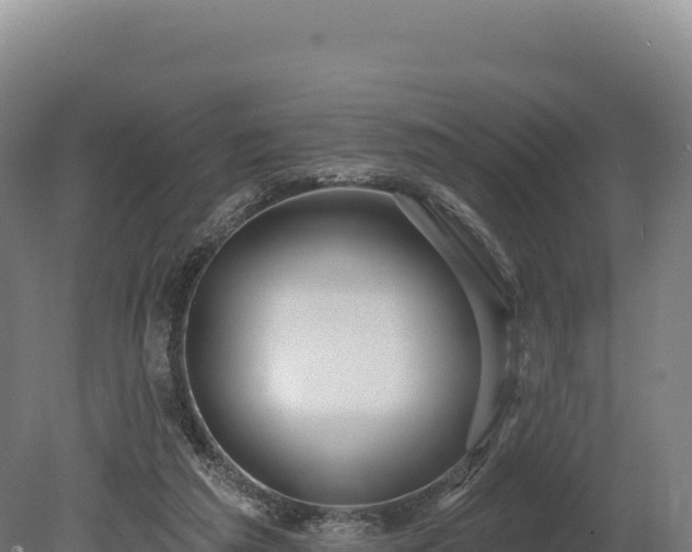 X0000080150209200612151839