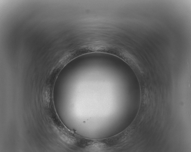 X0000080150210200612151839