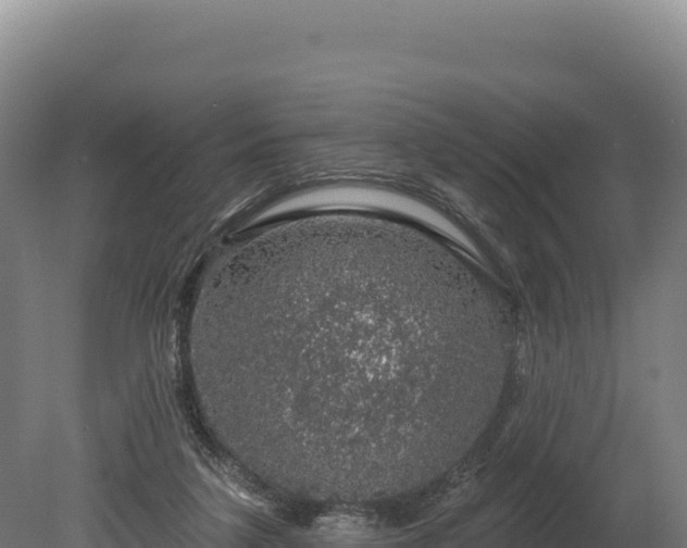 X0000080150211200612151839