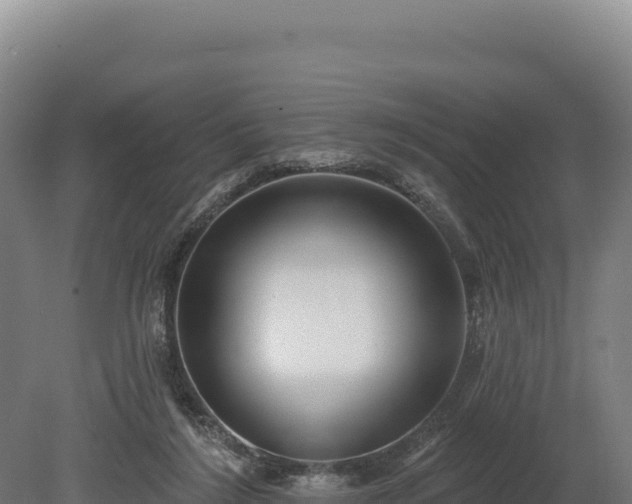 X0000080150212200612151838