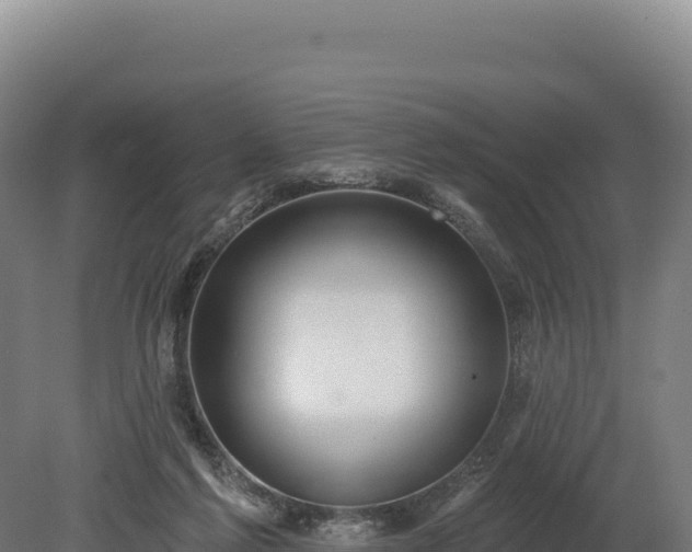 X0000080150213200612151838