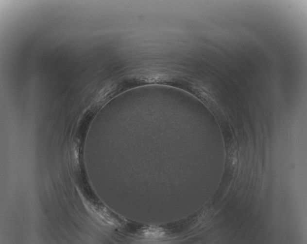 X0000080150214200612151838