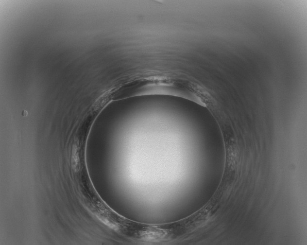 X0000080150215200612151838