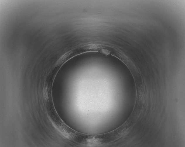 X0000080150216200612151838