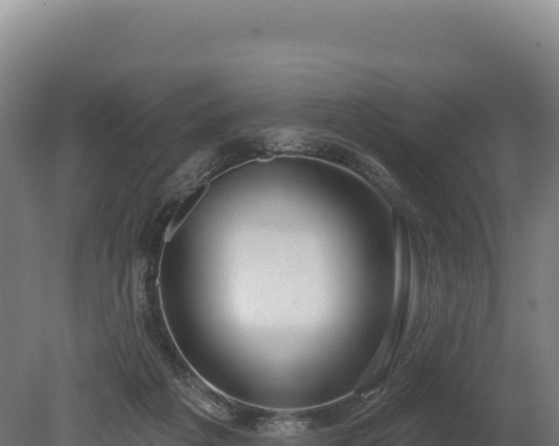 X0000080150217200612151838