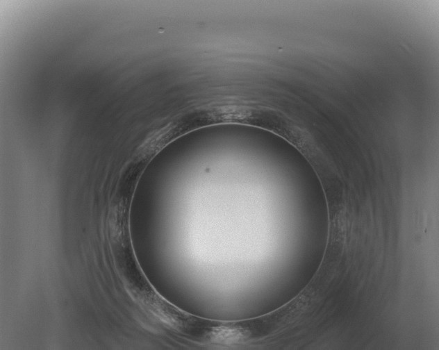 X0000080150218200612151838