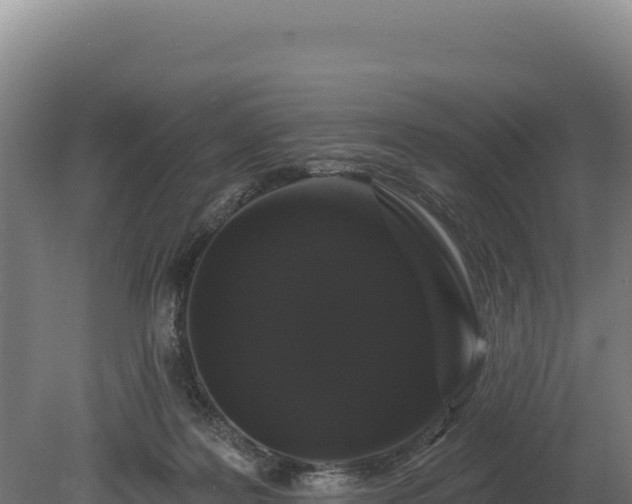 X0000080150219200612151838