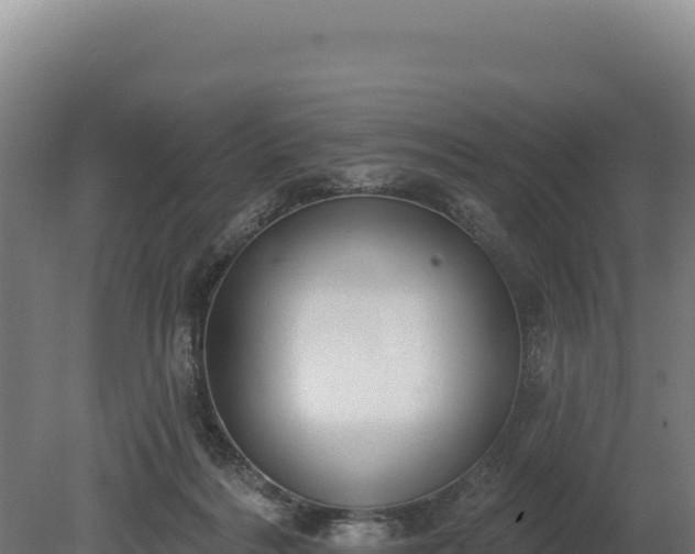 X0000080150220200612151838