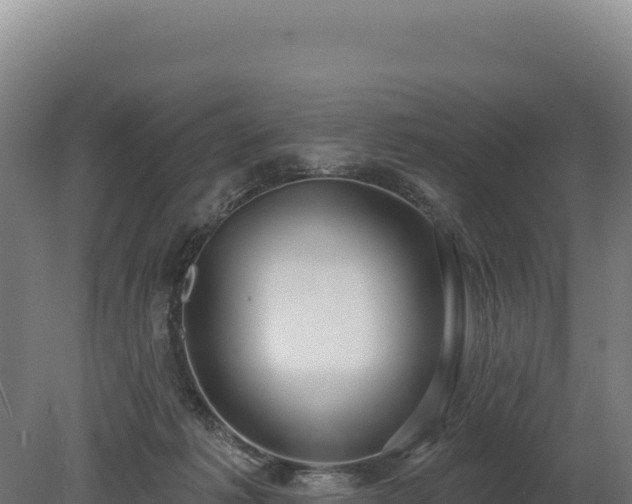 X0000080150221200612151838