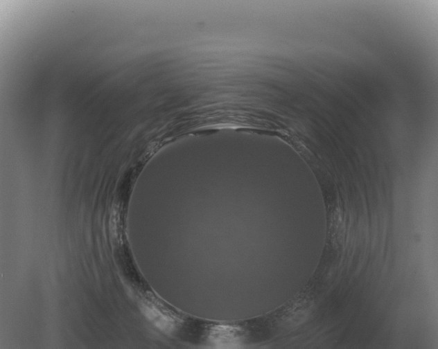 X0000080150222200612151838