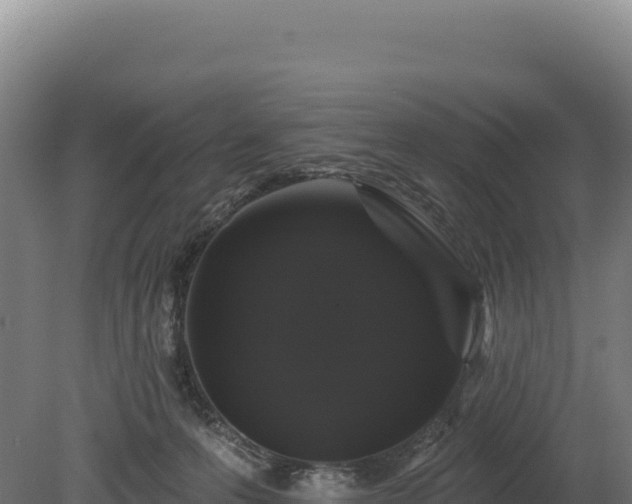 X0000080150223200612151838