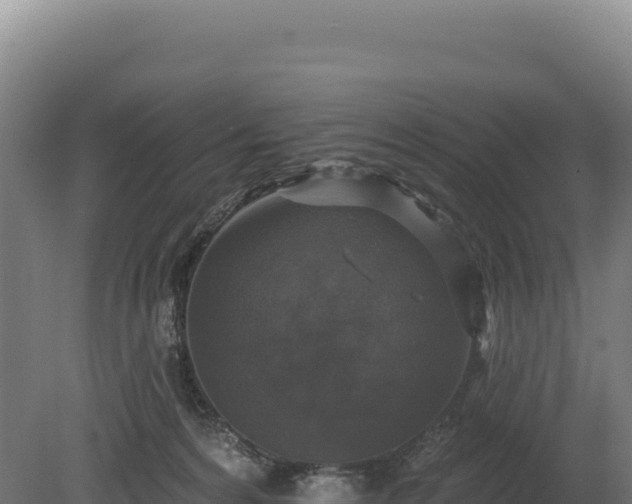 X0000080150224200612151838