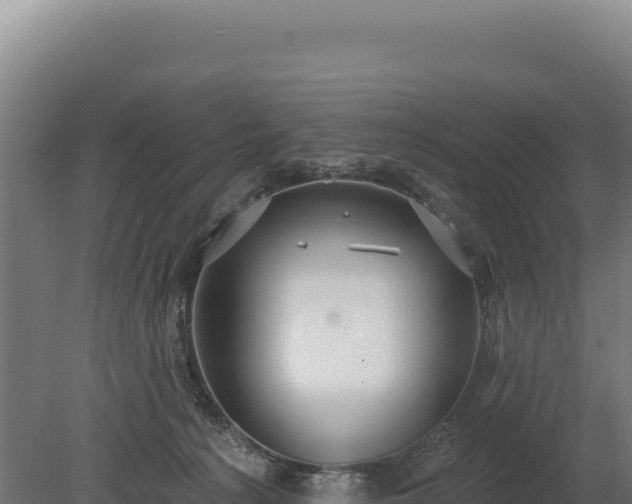 X0000080150225200612151838