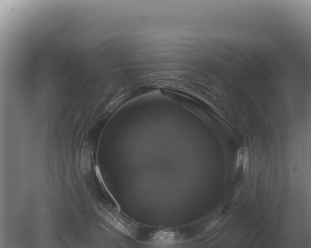 X0000080150227200612151838