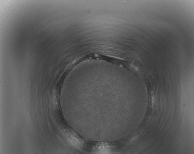 X0000080150228200612151838