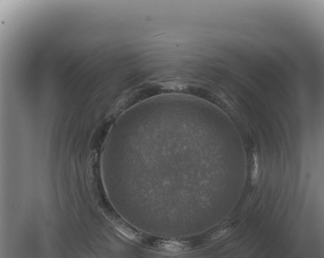 X0000080150229200612151838