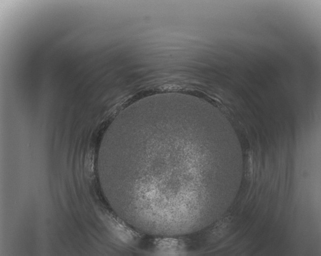 X0000080150230200612151838