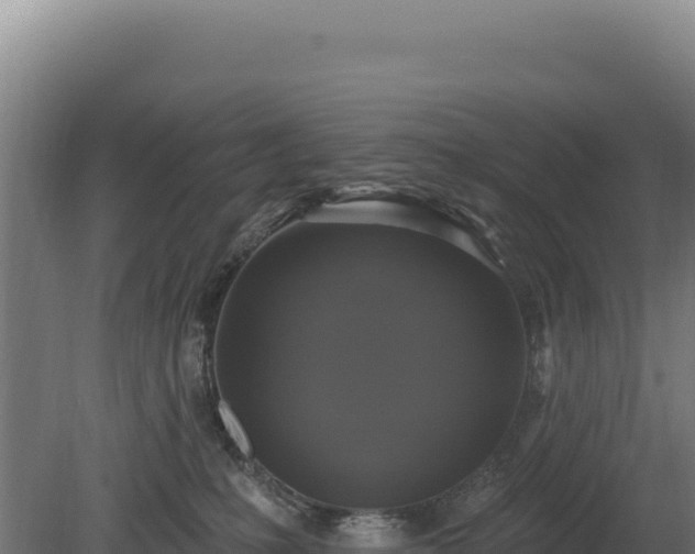 X0000080150231200612151838