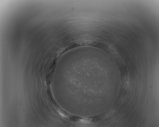 X0000080150232200612151838