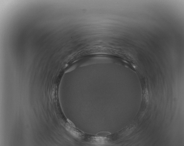 X0000080150233200612151838