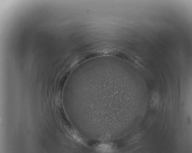 X0000080150236200612151838