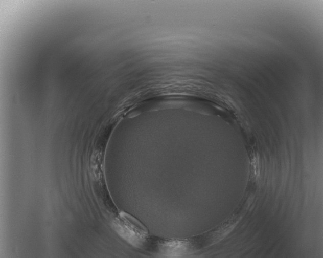 X0000080150237200612151838