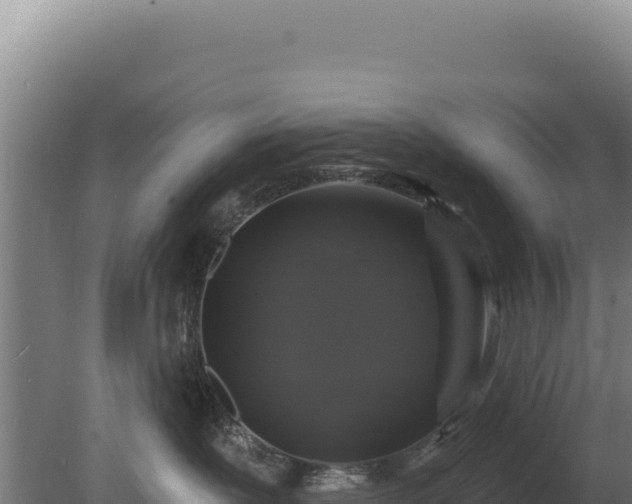 X0000080150239200612151838