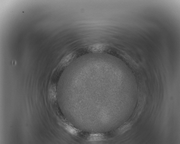 X0000080150240200612151838