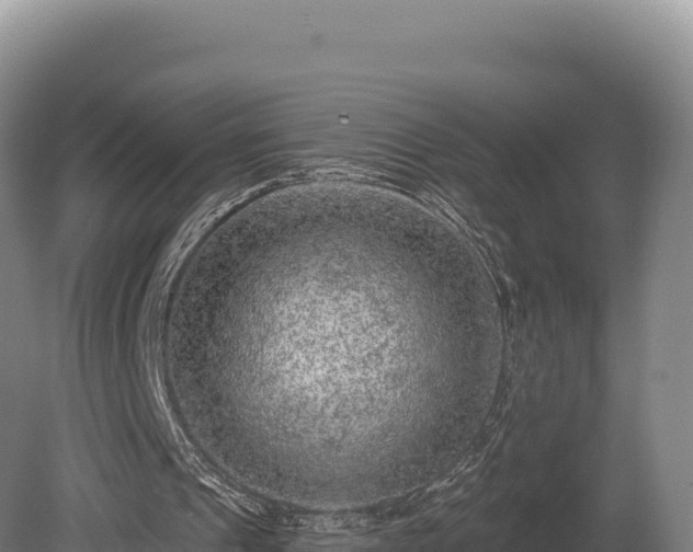 X0000080150241200612151837