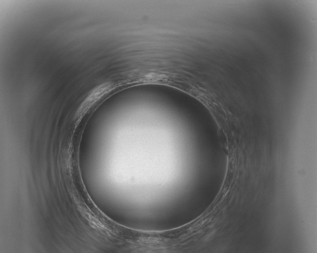 X0000080150242200612151837