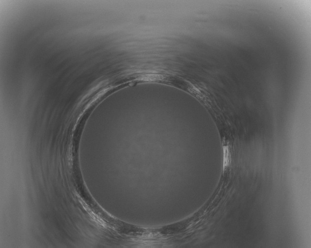 X0000080150243200612151837