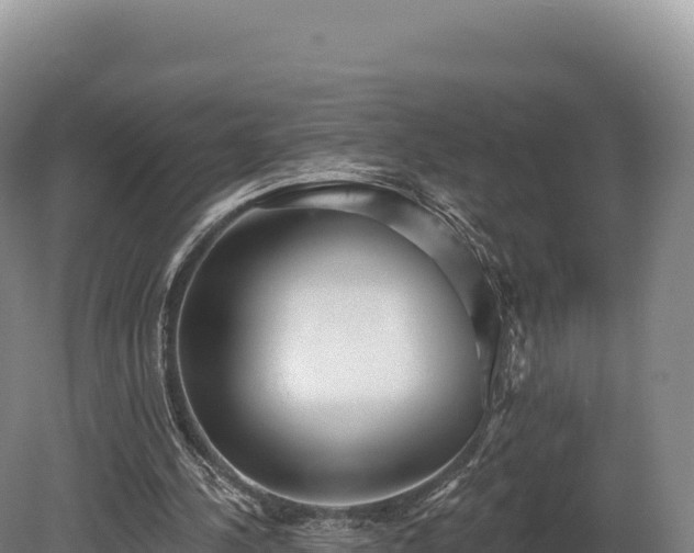 X0000080150244200612151837