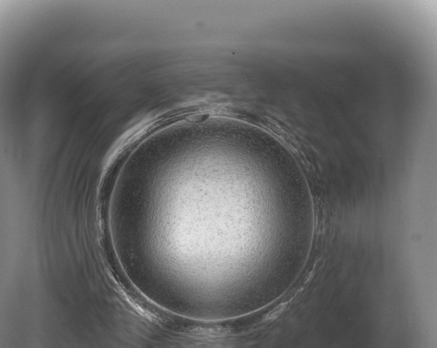 X0000080150245200612151837