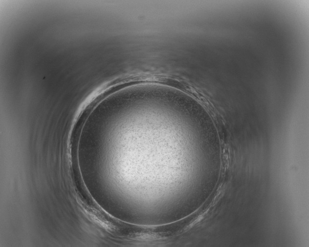 X0000080150246200612151837