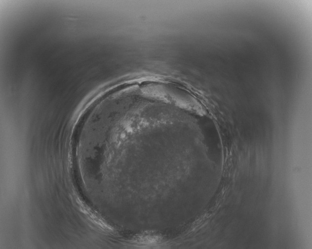 X0000080150247200612151837