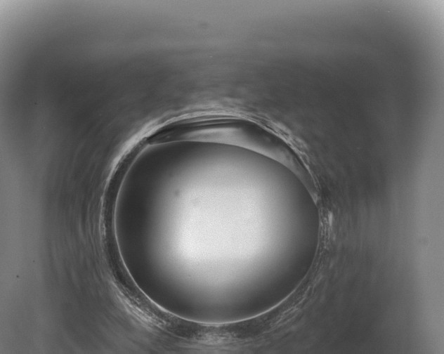 X0000080150248200612151837